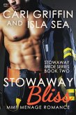 Stowaway Bliss: MMF Menage Romance (The Stowaway Bride Series, #2) (eBook, ePUB)