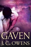 Gaven (The Gaven Series, #1) (eBook, ePUB)