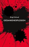 Gedankenexplosion (eBook, ePUB)