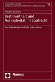 Bestimmtheit und Normativität im Strafrecht (eBook, PDF)