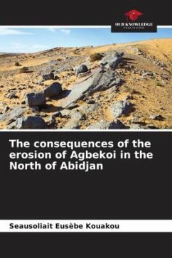 The consequences of the erosion of Agbekoi in the North of Abidjan - Kouakou, Seausoliait Eusèbe