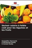 Séchoir solaire à faible coût pour les légumes et les fruits
