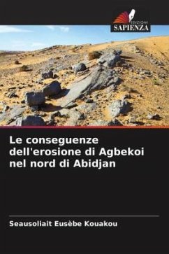 Le conseguenze dell'erosione di Agbekoi nel nord di Abidjan - Kouakou, Seausoliait Eusèbe