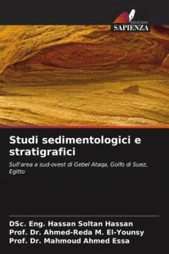 Studi sedimentologici e stratigrafici - Hassan, DSc. Eng. Hassan Soltan;M. El-Younsy, Prof. Dr. Ahmed-Reda;Essa, Mahmoud Ahmed