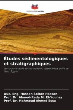 Études sédimentologiques et stratigraphiques - Hassan, DSc. Eng. Hassan Soltan;M. El-Younsy, Prof. Dr. Ahmed-Reda;Essa, Mahmoud Ahmed
