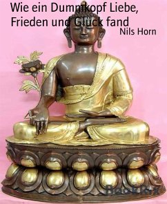 Wie ein Dummkopf Liebe, Frieden und Glück fand (eBook, ePUB) - Horn, Nils