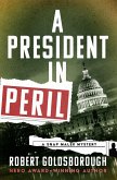 A President in Peril (eBook, ePUB)