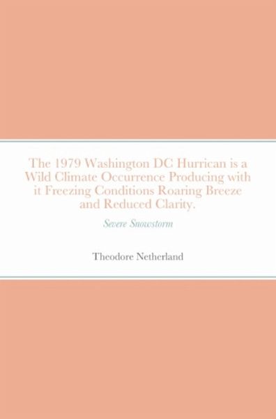 The 1979 Washington DC Hurrican is a Wild Climate Occurrence Producing with it Freezing Conditions Roaring Breeze and Reduced Clarity. (eBook, ePUB)