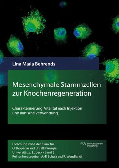 Mesenchymale Stammzellen zur Knochenregeneration