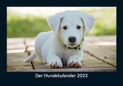 Der Hundekalender 2023 Fotokalender DIN A5 - Tobias Becker