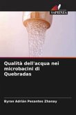Qualità dell'acqua nei microbacini di Quebradas