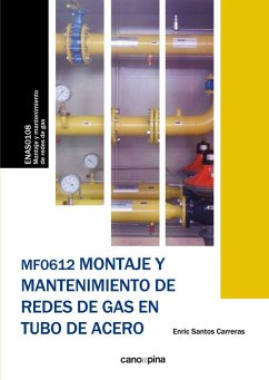 Montaje y mantenimiento de redes de gas en tubo de acero - Santos Carreras, Enric