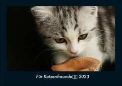 Für Katzenfreunde 2023 Fotokalender DIN A4 - Tobias Becker