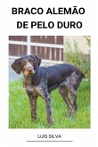 Braco Alemão de Pelo Duro Braco Alemão de Pelo Duro