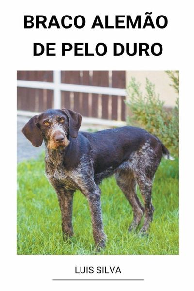 Braco Alemão de Pelo Duro