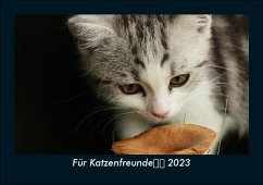 Für Katzenfreunde 2023 Fotokalender DIN A5 - Tobias Becker