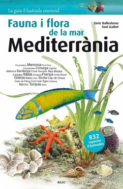 Flora i fauna de la mar Mediterrània - Ballesteros i Sagarra, Enric; Llobet, Toni