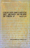 Colección documental del Archivo Municipal de Úbeda II : (siglo XIV)