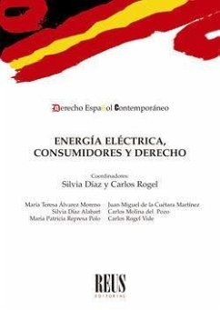 Cover Energía eléctrica, consumidores y derecho