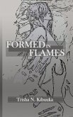Formed in Flames (eBook, ePUB)