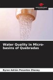 Water Quality in Micro-basins of Quebradas