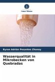 Wasserqualität in Mikrobecken von Quebradas