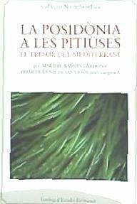 Cover La posidònia a les Pitiüses : el tresor del Mediterrani