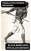Black Rebellion: Five Slave Revolts (eBook, ePUB)