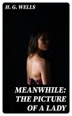 Meanwhile: The Picture of a Lady (eBook, ePUB)