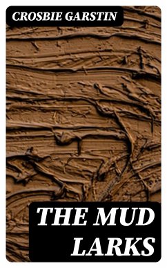 The Mud Larks (eBook, ePUB) - Garstin, Crosbie