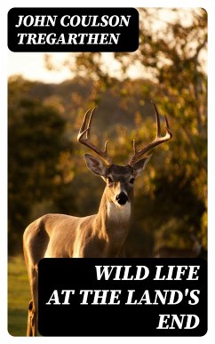 Wild Life at the Land's End (eBook, ePUB) - Tregarthen, John Coulson