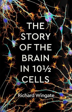 The Story of the Brain in 10½ Cells (eBook, ePUB) - Wingate, Richard