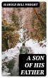 A Son of his Father (eBook, ePUB) - Bild 1