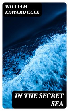 Cover In the Secret Sea (eBook, ePUB)