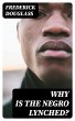 Why is the Negro Lynched? (eBook, ePUB) - Bild 1