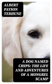 A Dog Named Chips: The Life and Adventures of a Mongrel Scamp (eBook, ePUB)