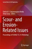 Scour- and Erosion-Related Issues