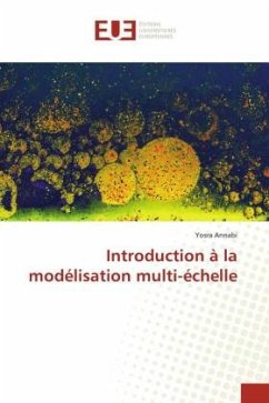 Introduction à la modélisation multi-échelle - Annabi, Yosra