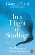 In a Flight of Starlings (eBook, ePUB) - Bild 1