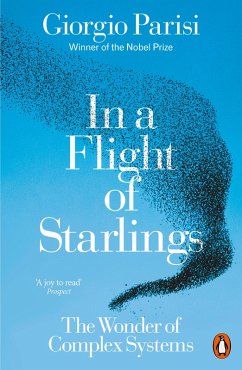 Cover In a Flight of Starlings (eBook, ePUB)