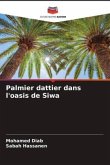 Palmier dattier dans l'oasis de Siwa