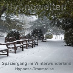 Cover Spaziergang im Winterwunderland (MP3-Download)