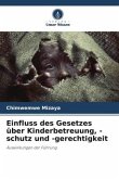 Einfluss des Gesetzes über Kinderbetreuung, -schutz und -gerechtigkeit