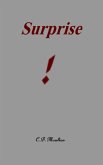 Surprise! (eBook, ePUB) Surprise! (eBook, ePUB)