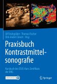 Praxisbuch Kontrastmittelsonografie (eBook, PDF)