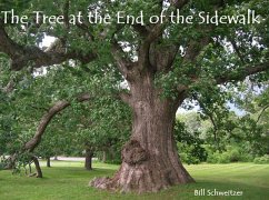 The Tree at the End of the Sidewalk (eBook, ePUB) - Schweitzer, Bill