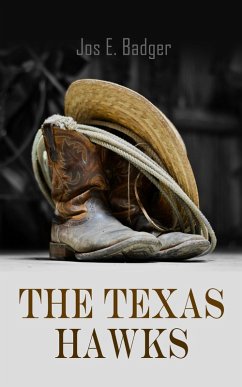 The Texas Hawks (eBook, ePUB) - Badger, Jos E.