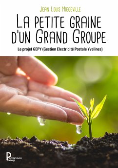 La petite graine d'un Grand Groupe (eBook, ePUB) - Miegeville, Jean Louis