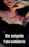 Die notgeile Fahrschülerin (eBook, ePUB)