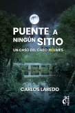 Puente a ningún sitio (eBook, ePUB)